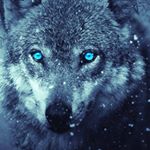 Profile Picture of Adam Kocher (@adam.kocher.908) on Instagram