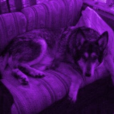 Profile Picture of Caroline Jenny Trout Stan Account (@emeraldaspects) on Twitter