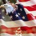 Profile Picture of Jeff Bramer (@bramer_jeff) on Pinterest