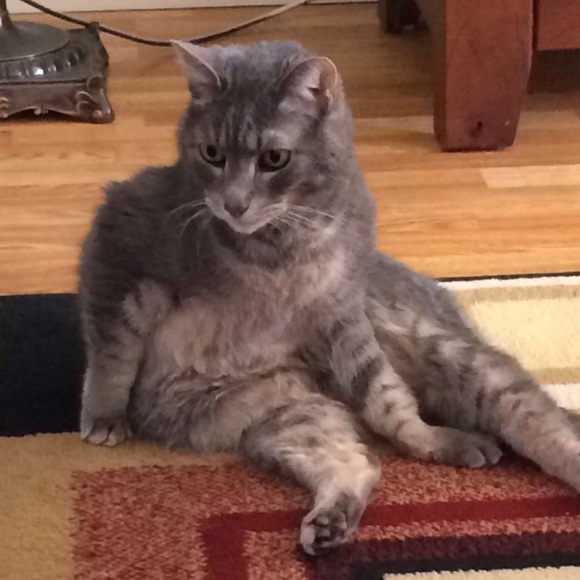 Profile Picture of Leslie Eutsler (@leslieeeutsler) on Poshmark