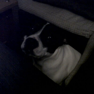 Profile Picture of Geoff Ling (@Speedys123) on Twitter