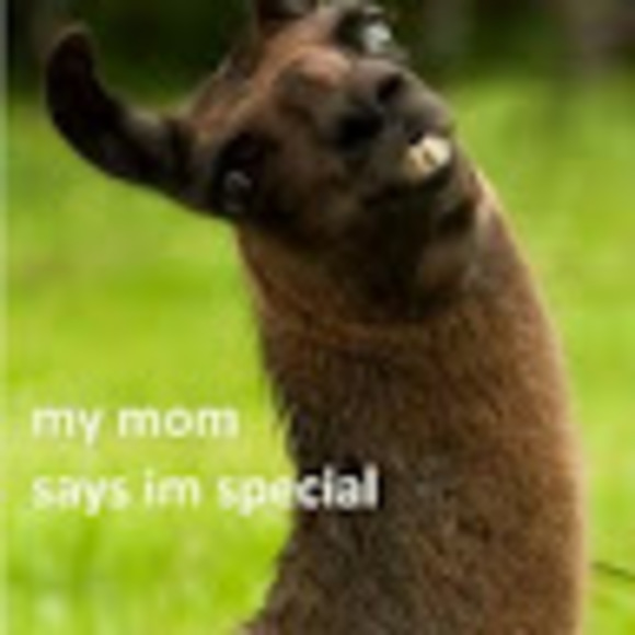 Profile Picture of Wanda Thompson (@wandathompso204) on Poshmark