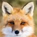 Profile Picture of Elijah Shackelford (@elijah.shackelford.7) on Facebook