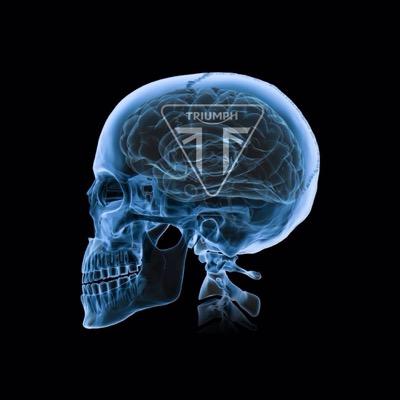 Profile Picture of Troy Lafferty (@ozziedragon72) on Twitter