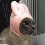 Profile Picture of Stephen Fung (@stephenfung2001) on Instagram