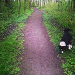 Profile Picture of ❤Lisa BFF❤ (@wiebke_wanja) on Instagram