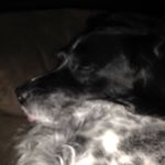 Profile Picture of Nick Miceli (@nman1196) on Instagram