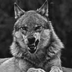 Profile Picture of Josue Avelar (@Josue-Avelar) on Facebook