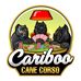 Profile Picture of Casey Arnold (Cariboo Cane Corso) (@cariboo.canecorso) on Facebook