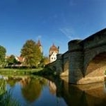 Profile Picture of Louise Forgues (@forgueslouise) on Instagram