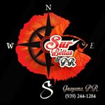 Profile Picture of Sur Bettas de PR (@cintron.reinaldo) on Instagram