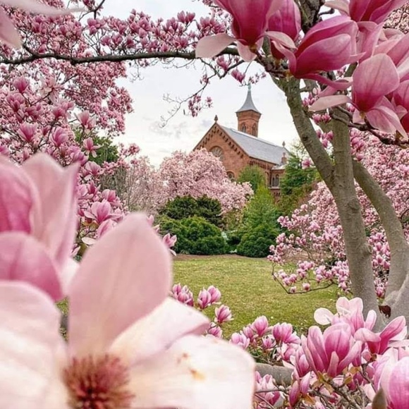 Profile Picture of Cheryl Carnefix (@cherylcarnefix) on Poshmark