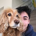 Toby Tatsuya Watkinson - Instagram Profile Picture of Toby Tatsuya Watkinson (@toby_tatsuya) on Instagram