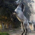 Profile Picture of Sanchez Tony (@tony.olmos.940641) on Instagram