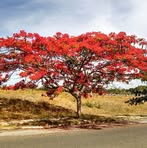 Rudy Colón - Facebook Profile Picture of Rudy Colón (@rudy.colon.96) on Facebook