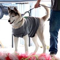 Profile Picture of Steve Hampton (@steve-hampton-14) on Quora