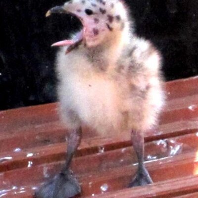 Profile Picture of MDW (@MarkDavidWyers) on Twitter