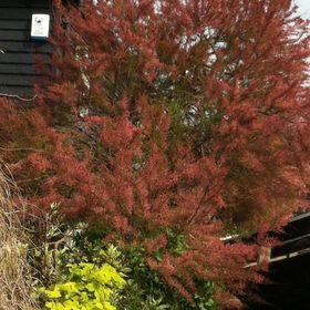 Profile Picture of Kris Røwe (@kcr24) on Pinterest