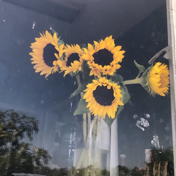 Profile Picture of Sol Morales (@sol2405) on Poshmark