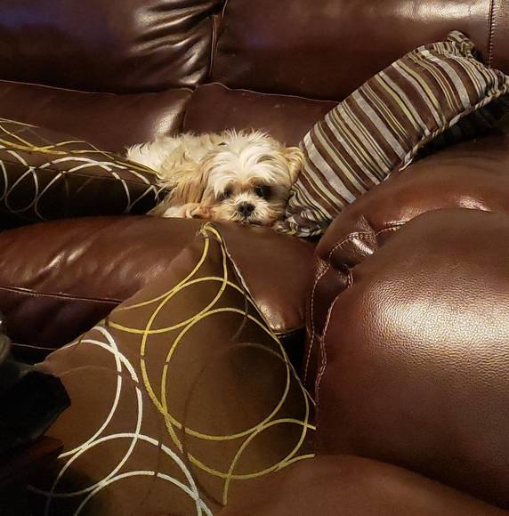 Profile Picture of Valerie Essmaker (@messmaker) on Poshmark