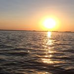 Renee Wolfe - Instagram Profile Picture of Renee Wolfe (@renee_wildlife) on Instagram