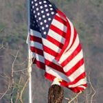 Profile Picture of Dave Mauro (@dave.mauro.9) on Instagram