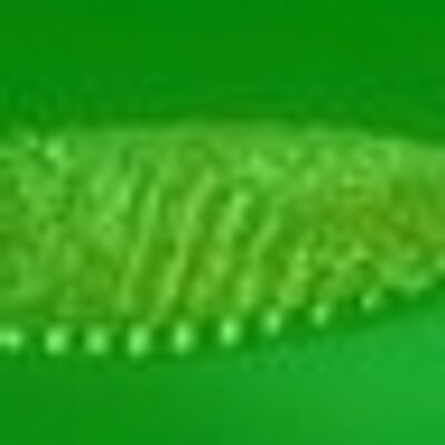 Profile Picture of Gary Bredbenner (@gbredben) on Twitter
