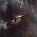 Profile Picture of Pamela Carlozzi (@pamelacarlozzi) on Pinterest