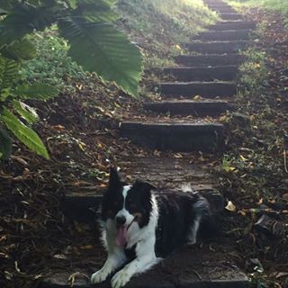 Profile Picture of Bailey HillO'Neill (@bailey.hilloneill) on Facebook