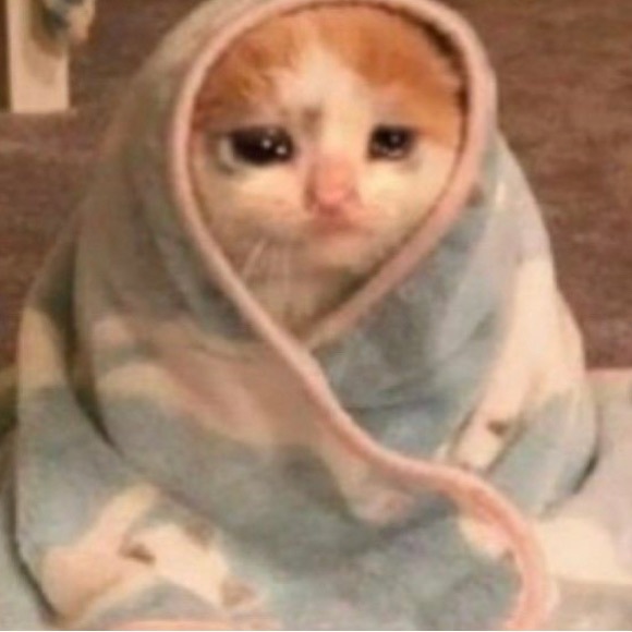 Profile Picture of Hannia Moran (@hanny210) on Poshmark