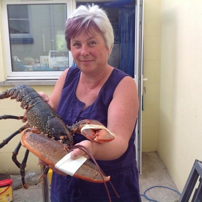 Profile Picture of Mandy Walters (@CardiganbayFish) on Twitter