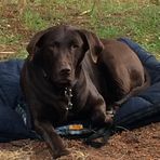 Profile Picture of Brian Sheedy (@brian.sheedy.750) on Facebook