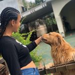 Profile Picture of Karen Ashanti Veccaro (@karenveccaro) on Instagram