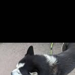 Profile Picture of Roda Dominic (@Roda-Dominic) on Facebook