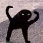 Profile Picture of Joseph Hanley (@joeyfh__) on Instagram