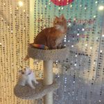 Profile Picture of Eric Pond (@eric.pond1) on Instagram