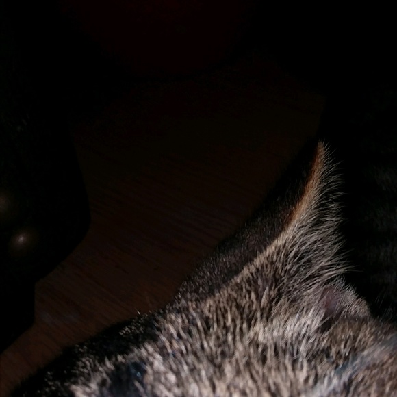 Profile Picture of Chris Carlson (@chriscarlson54) on Poshmark