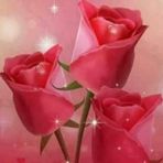 Profile Picture of Tonny Wan (@Tonny-Wan) on Facebook