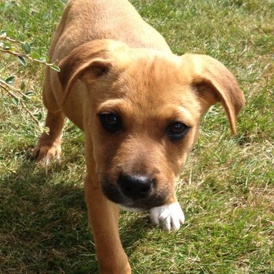 Profile Picture of Dennis Hansen (@dennishansen71) on Twitter