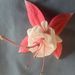 Profile Picture of Gail Rees (@lvmydgsgr) on Pinterest