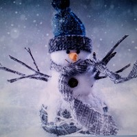 Profile Picture of Fernando Alaniz (@fernando-alaniz) on Quora