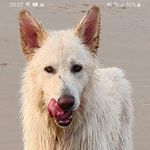 Profile Picture of david morrey (@morrey.david) on Instagram