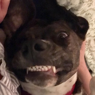 Profile Picture of Jesse William (@J_duderanch) on Twitter