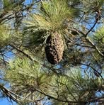 Profile Picture of Edlin Joseph (@Edlin-Joseph) on Facebook