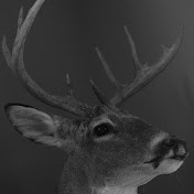 Profile Picture of Brandon Driver (@brandondriver1143) on Youtube