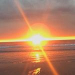 Tracey Leach - Instagram Profile Picture of Tracey Leach (@traceydarcyleach) on Instagram