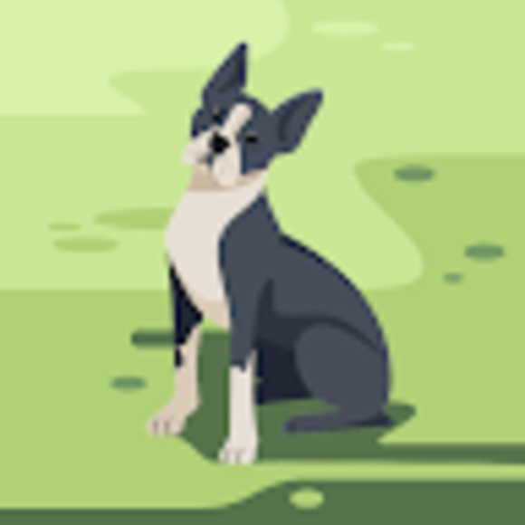 Profile Picture of Jaclyn Humsjo (@karmajacks) on Poshmark