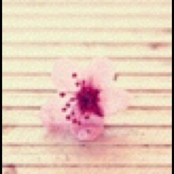 Profile Picture of Anhdao Ta (@anhdao2207) on Poshmark
