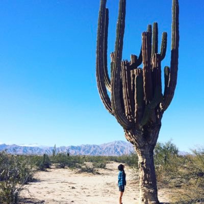 Profile Picture of Sara Cordón (@saracordon) on Twitter