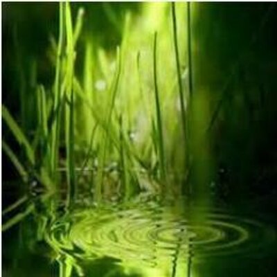 Profile Picture of Chen Voon Yee (@voon_yee) on Twitter